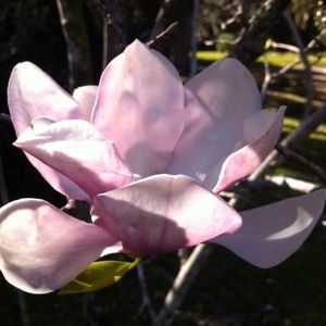 Meet your Posher, Teodora